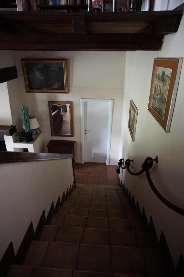 Golden Hill - Big Rooms With Kitchen And Garden Collina d'Oro Экстерьер фото