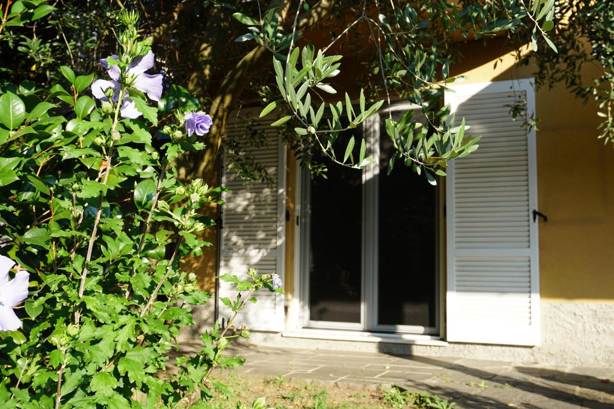 Golden Hill - Big Rooms With Kitchen And Garden Collina d'Oro Экстерьер фото